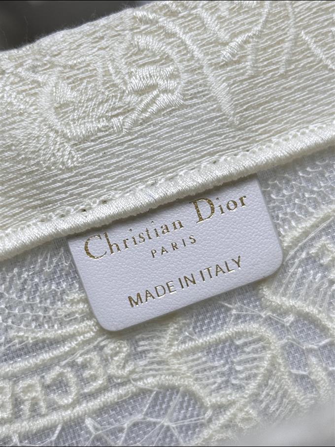 2025228Y580P203817105