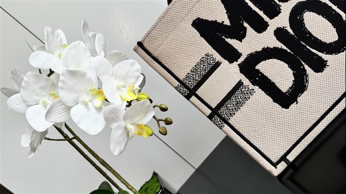 2025228Y580P203817447