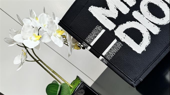 2025228Y580P203817587