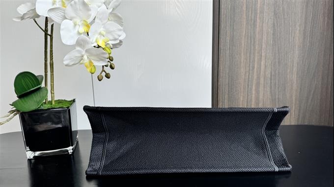 2025228Y580P203817650