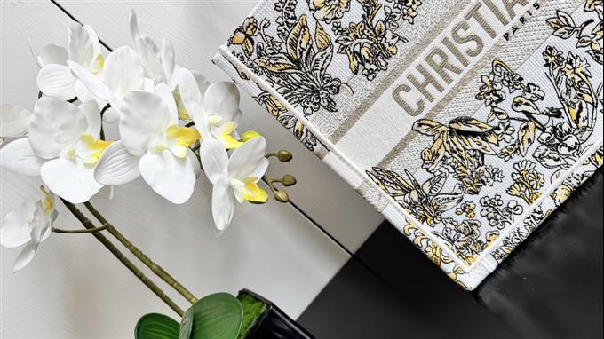 2025228Y580P203818299