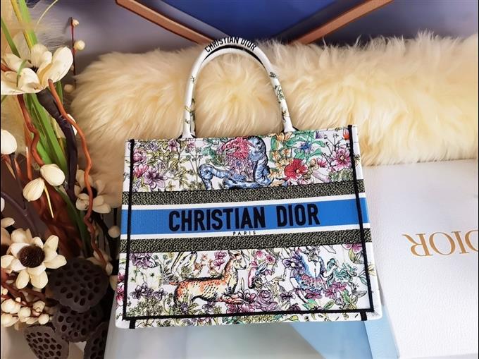 2025228Y580P203818710