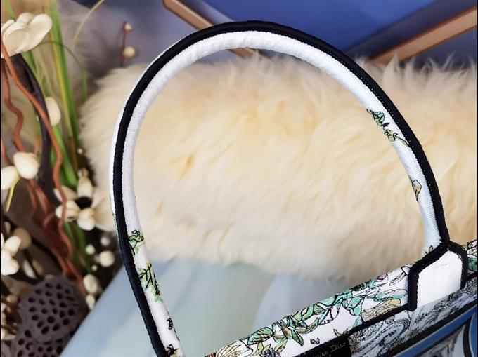 2025228Y580P203818805