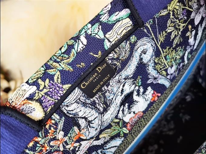 2025228Y580P203819117