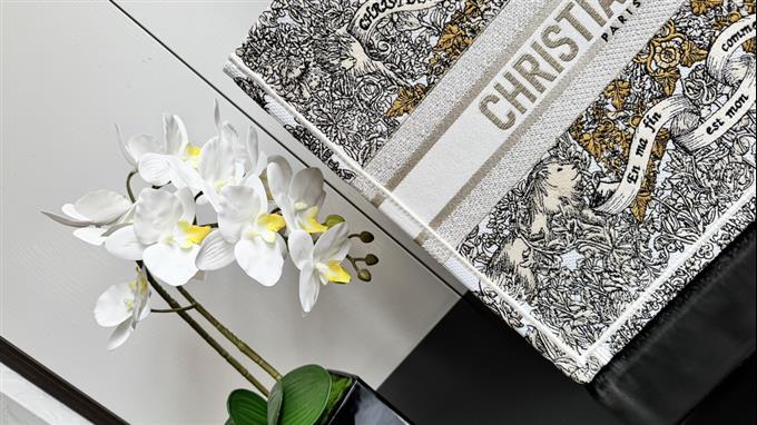 2025228Y580P203833493