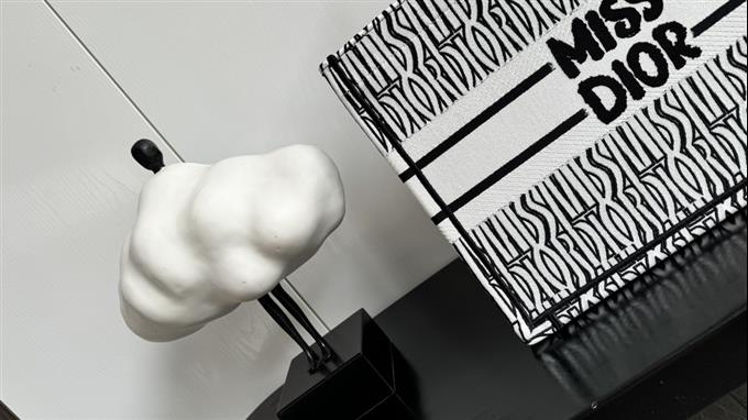 2025228Y580P212159808