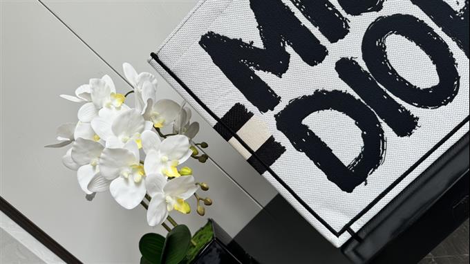 2025228Y600P203756758