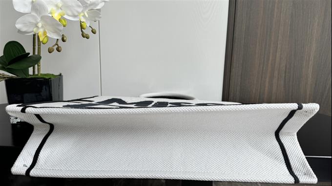 2025228Y600P203756822