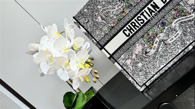 2025228Y600P203820722