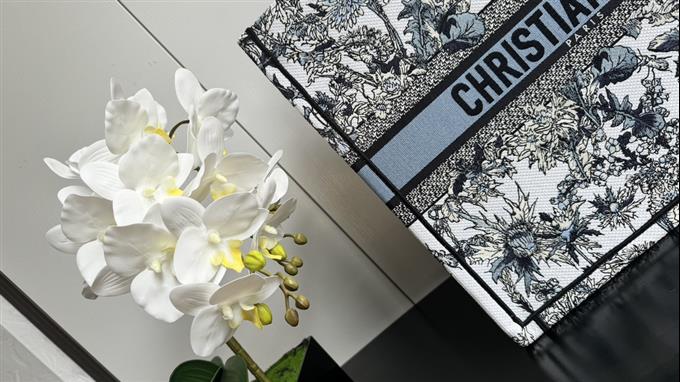 2025228Y600P203821575