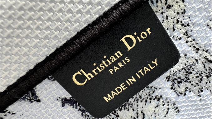 2025228Y600P203821670