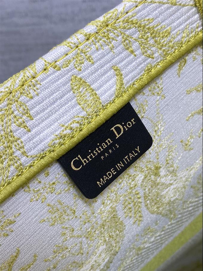 2025228Y600P203823364