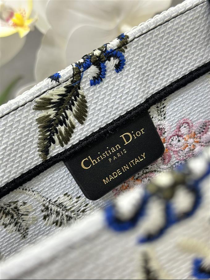 2025228Y600P203825219