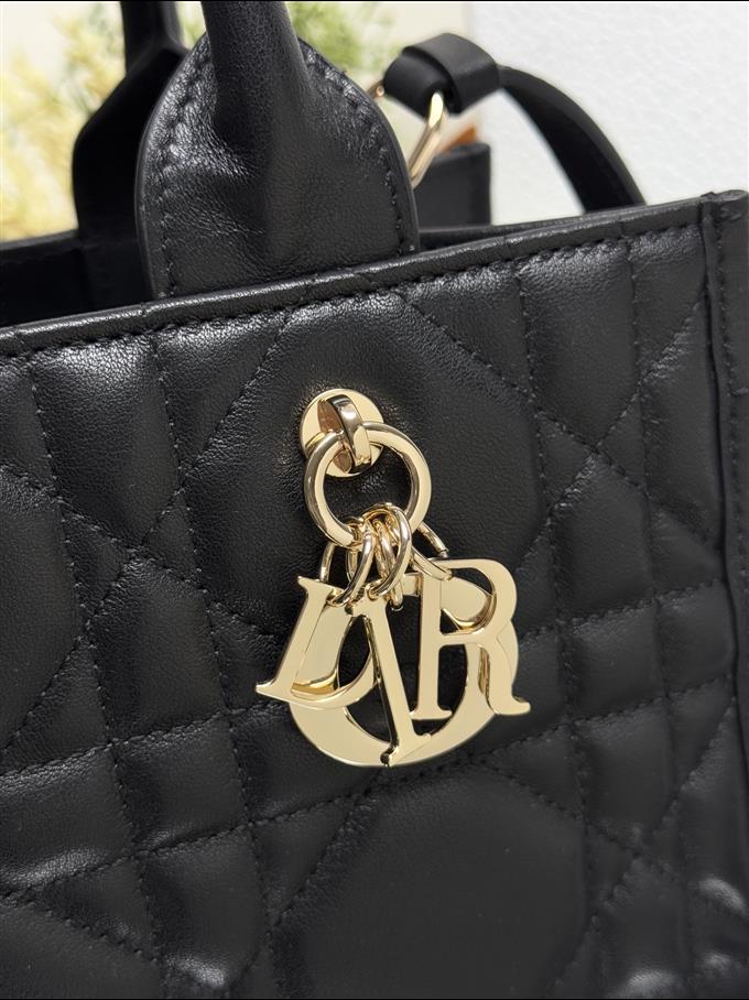 2025228Y750P203829649