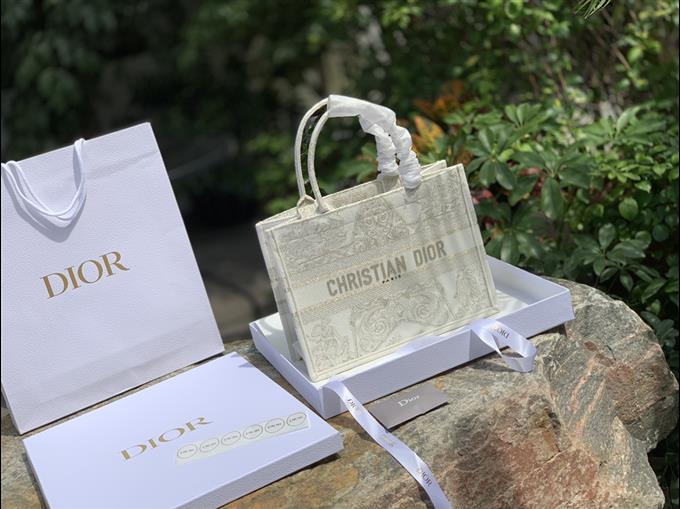 2025228Y750P212146527