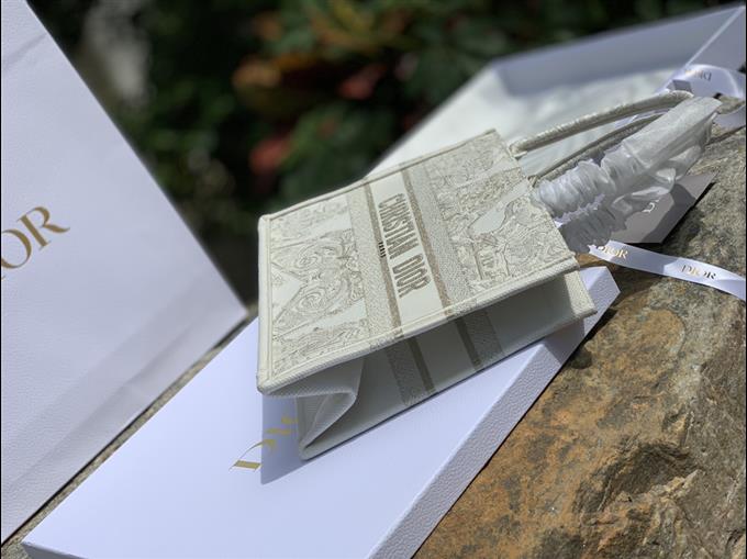 2025228Y750P212146588