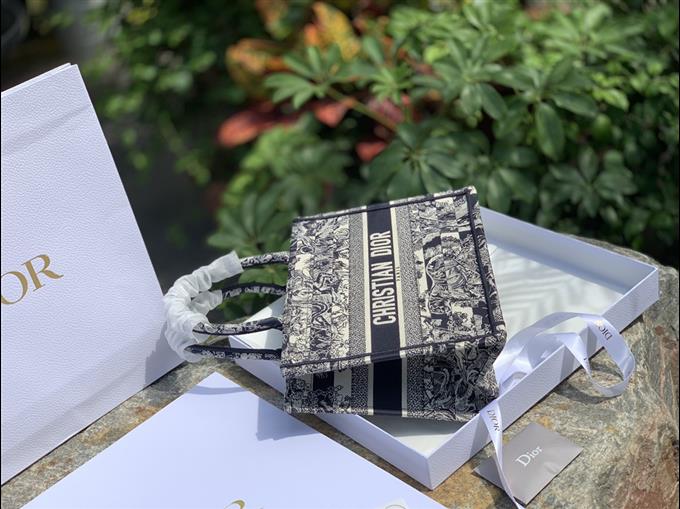 2025228Y750P212146699