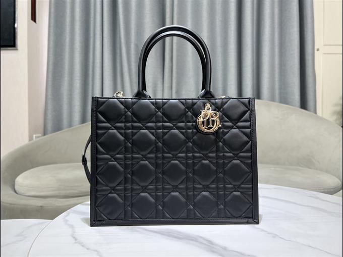 2025228Y800P203830503