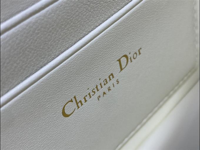 2025228Y600P222152564