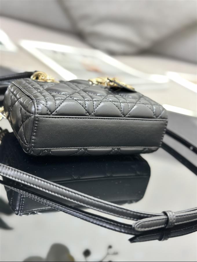 2025228Y600P204510117