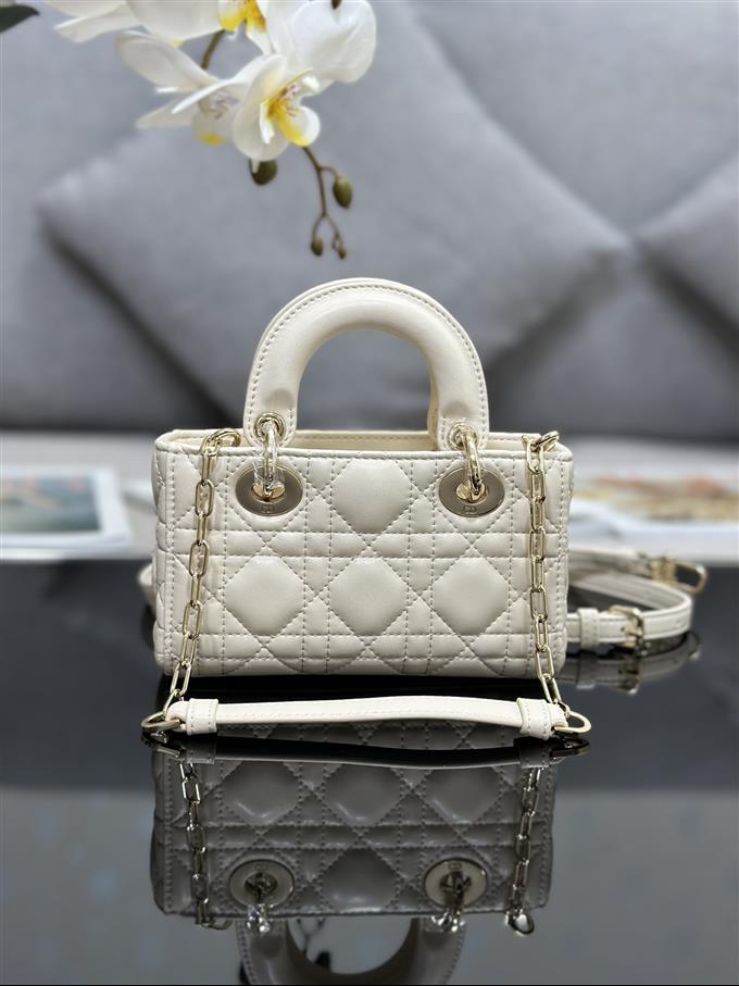 2025228Y600P204510229