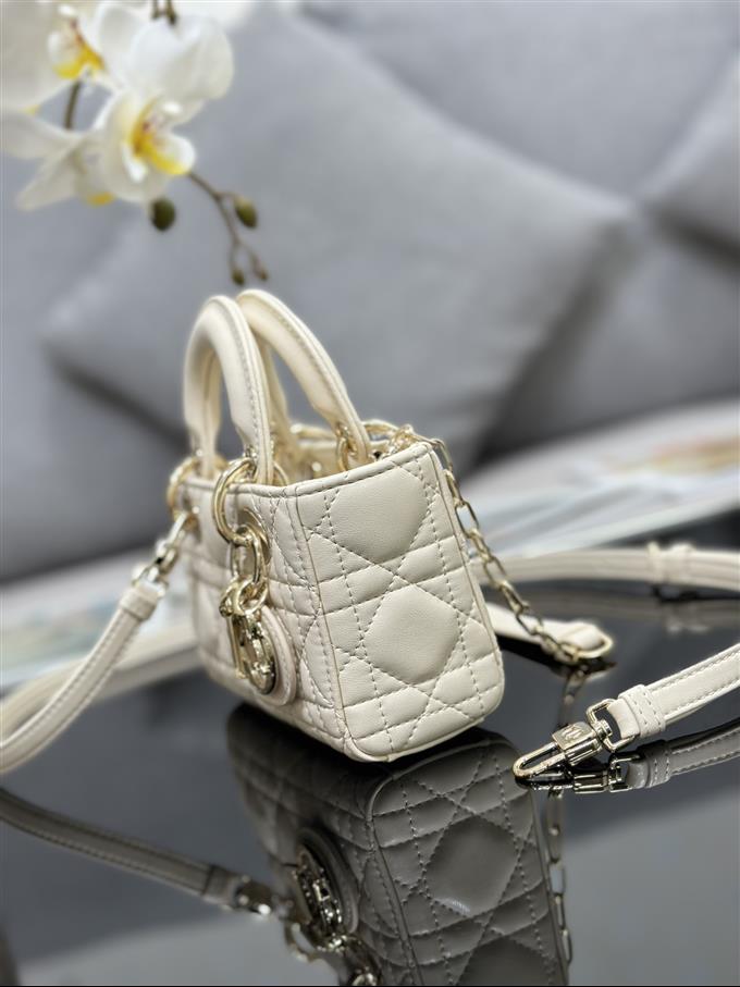 2025228Y600P204510245