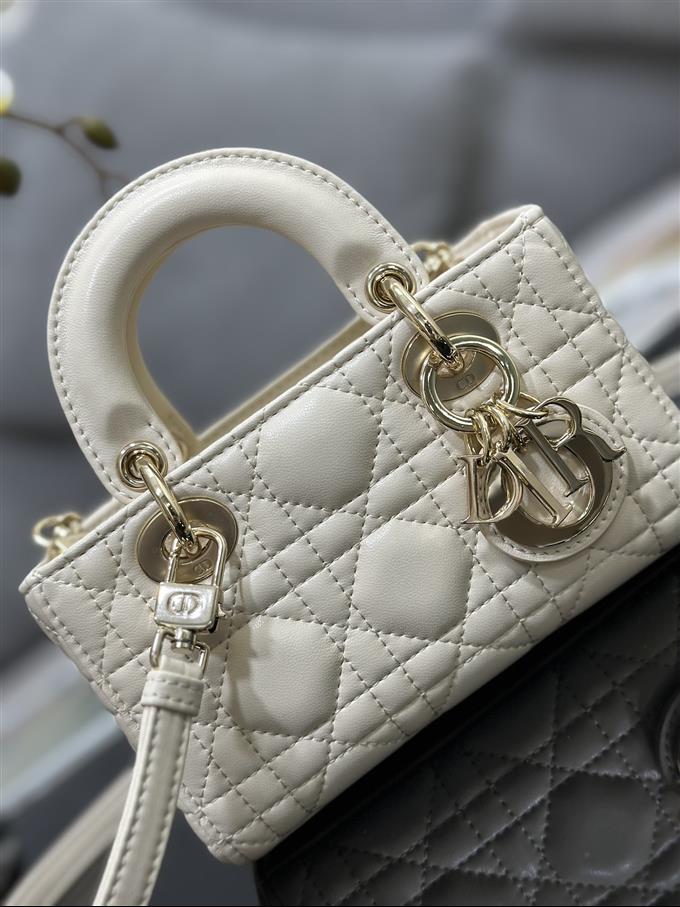 2025228Y600P204510277