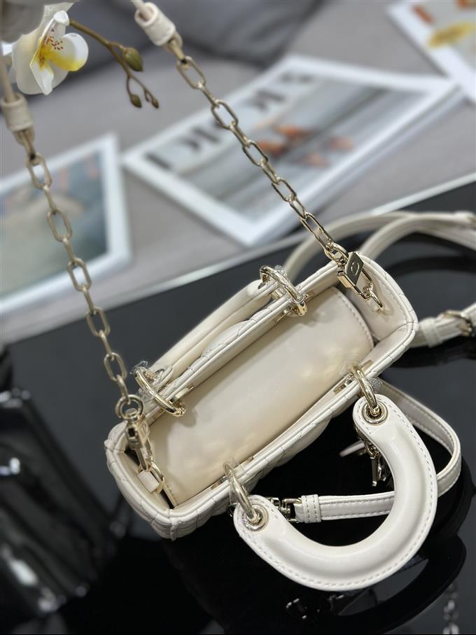 2025228Y600P204510309