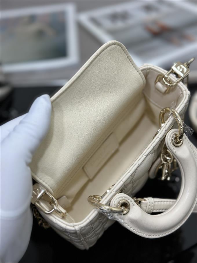 2025228Y600P204510325