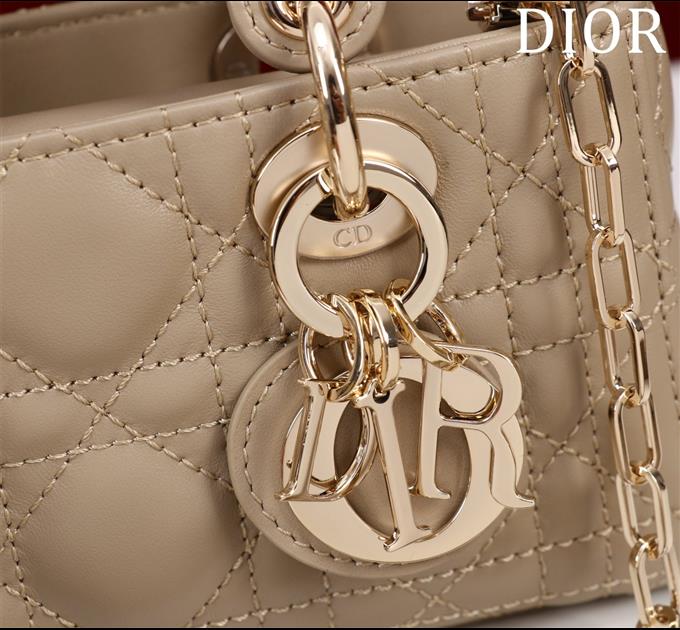 2025228Y650P204350261