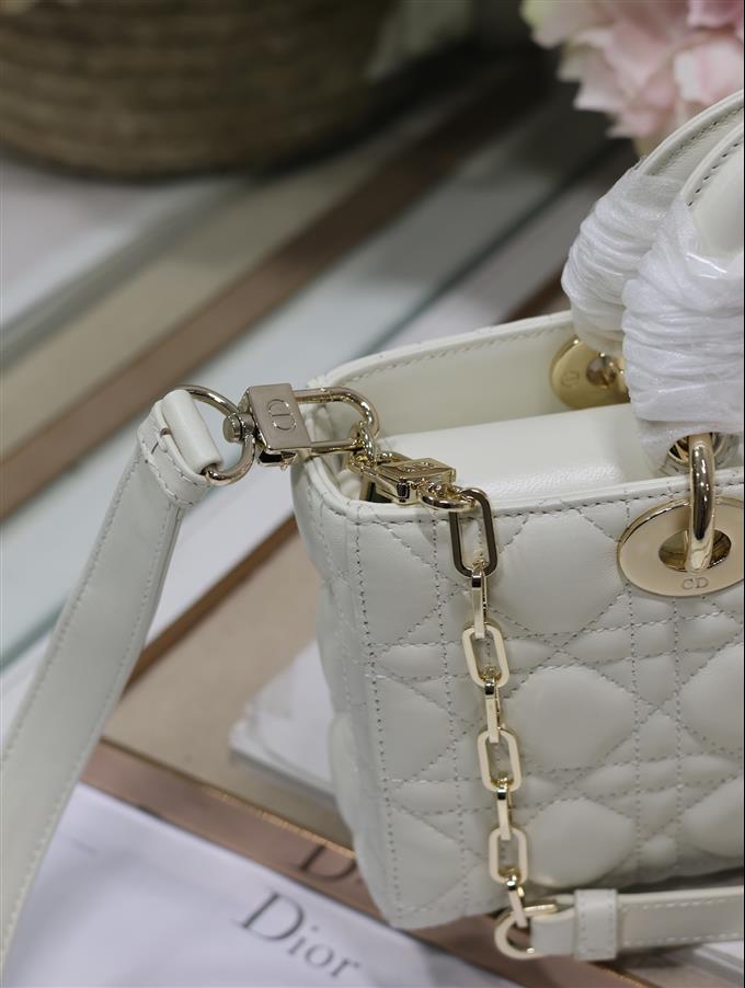 2025228Y680P204355566