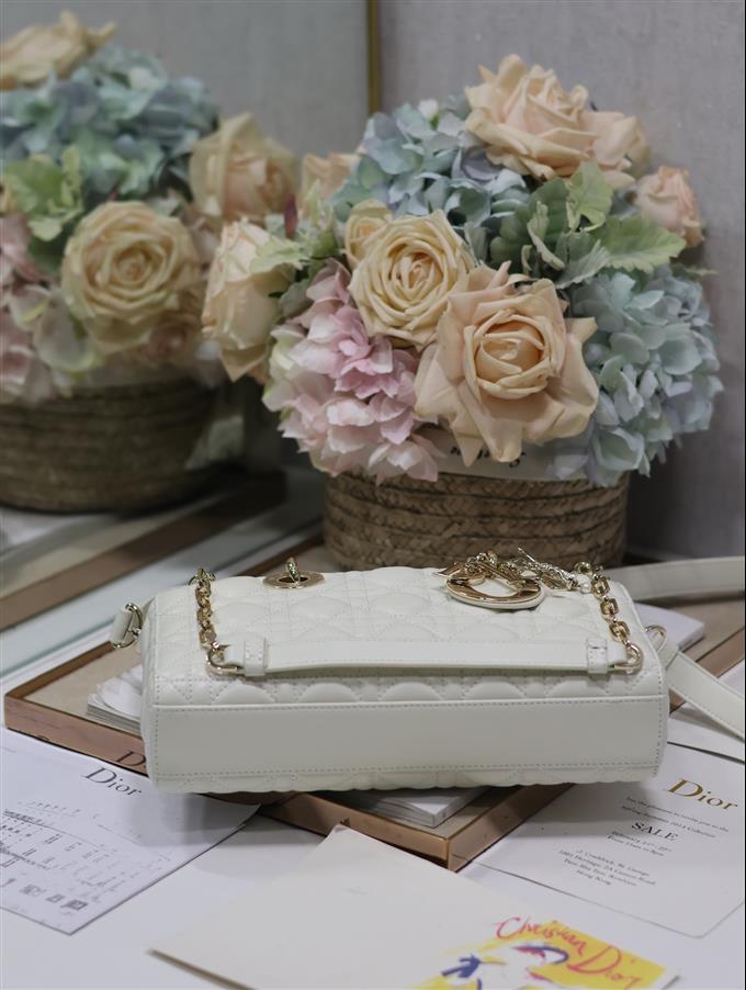 2025228Y680P204355596