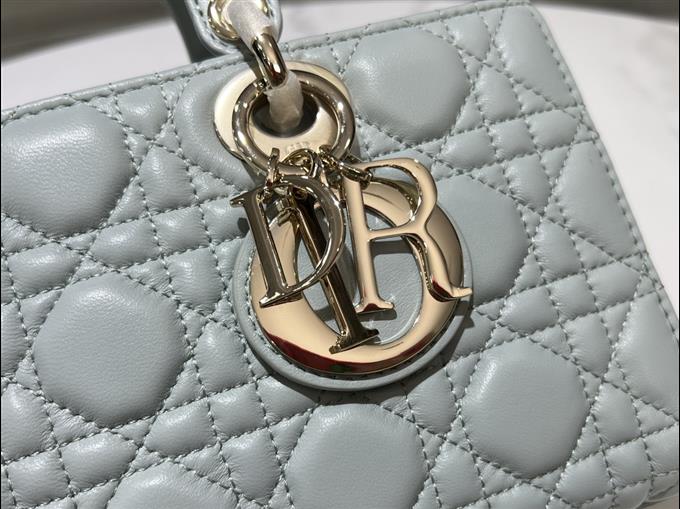 2025228Y680P204512103