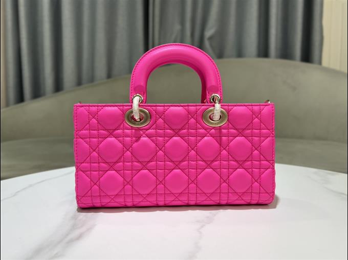 2025228Y680P204512260