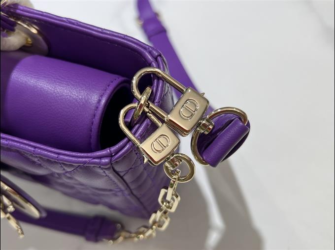 2025228Y680P204512498