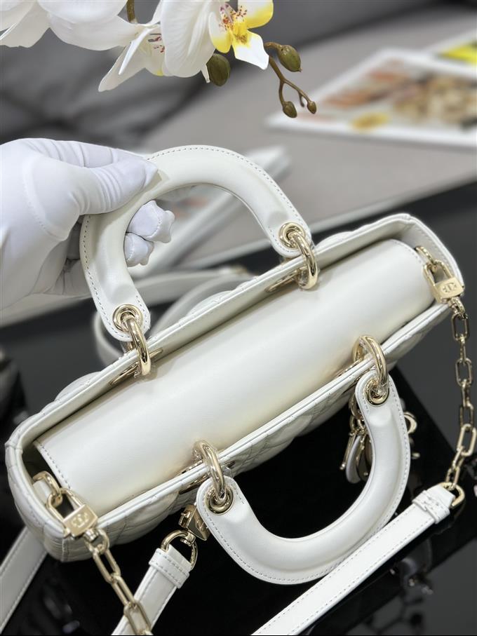 2025228Y700P204513285