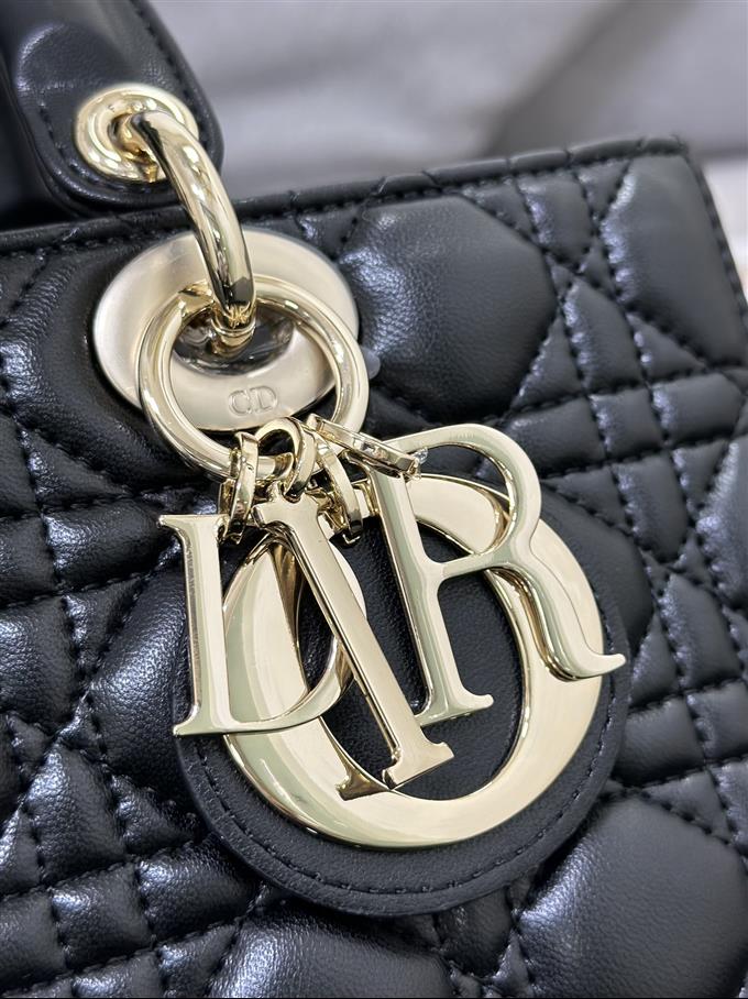 2025228Y700P204513410