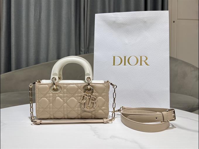 2025228Y700P204515187