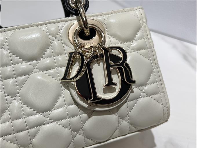 2025228Y700P204515528