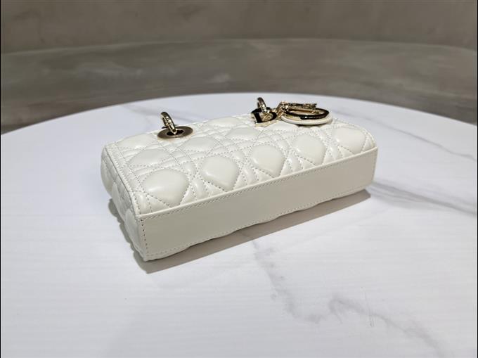 2025228Y700P204515559