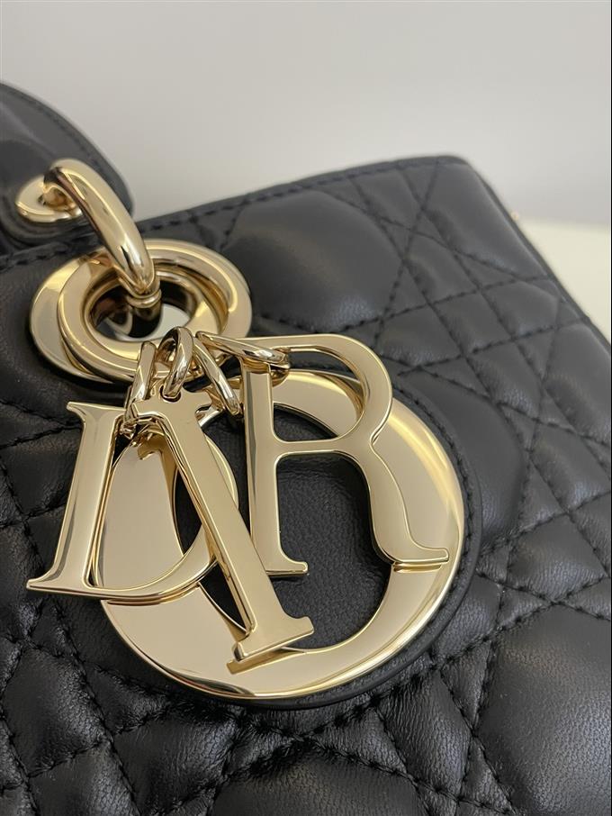 2025228Y700P215712666