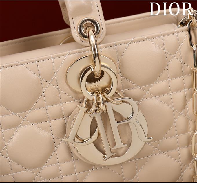 2025228Y780P20441816