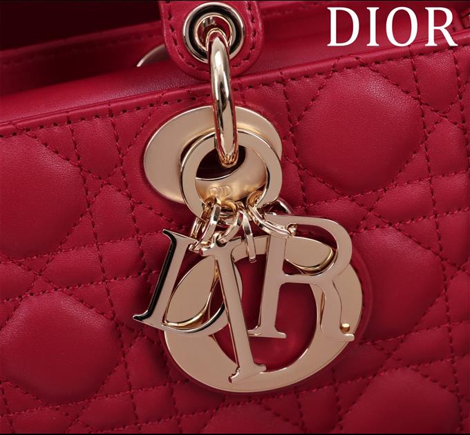 2025228Y780P20442928