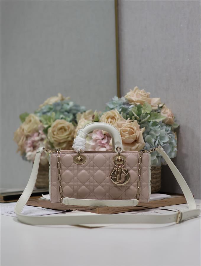 2025228Y800P20445241