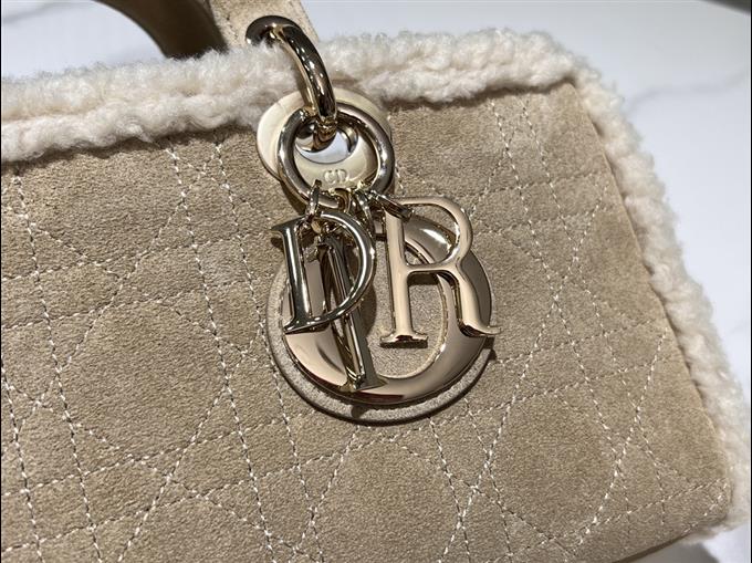 2025228Y880P204516815