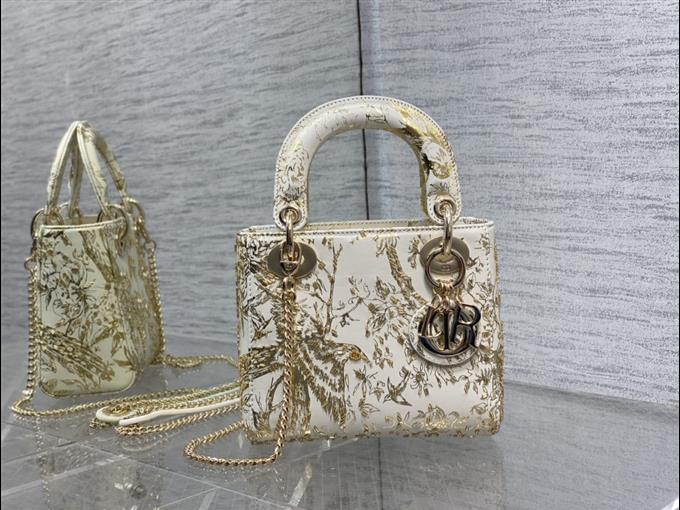 2025228Y1050P205546545