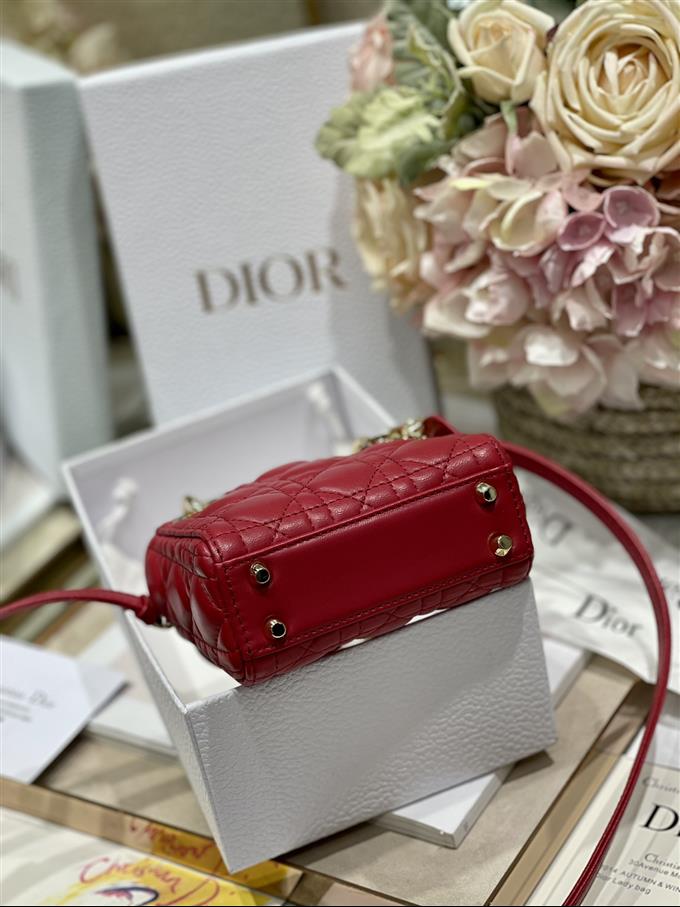 2025228Y580P205543996