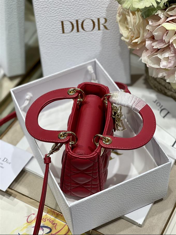 2025228Y580P20554411