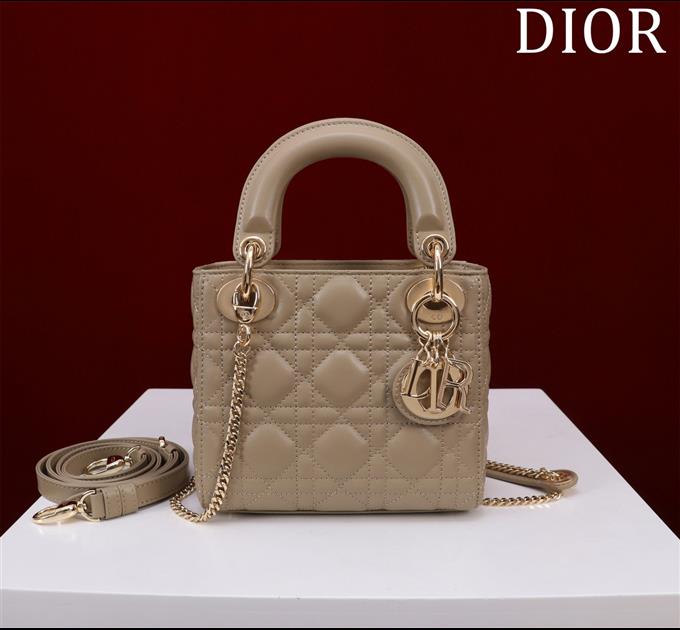 2025228Y600P205550226