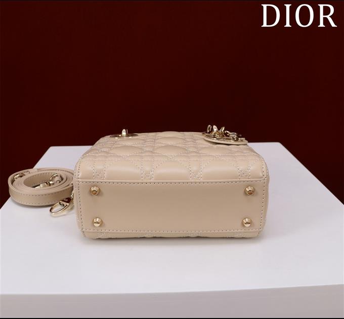 2025228Y600P205550417